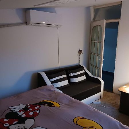 Sara 3 Dormitoare Nu Primesc Santieristi Si Petrecareti Villa Букурещ Екстериор снимка