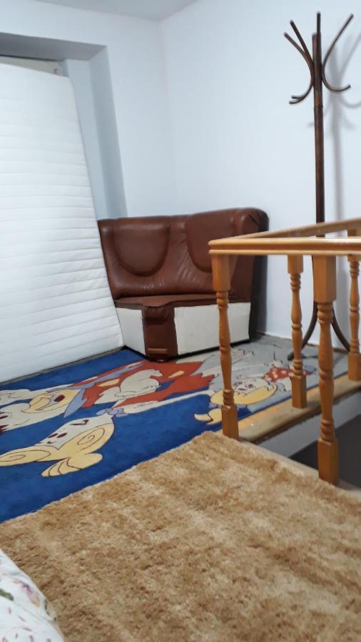 Sara 3 Dormitoare Nu Primesc Santieristi Si Petrecareti Villa Букурещ Екстериор снимка