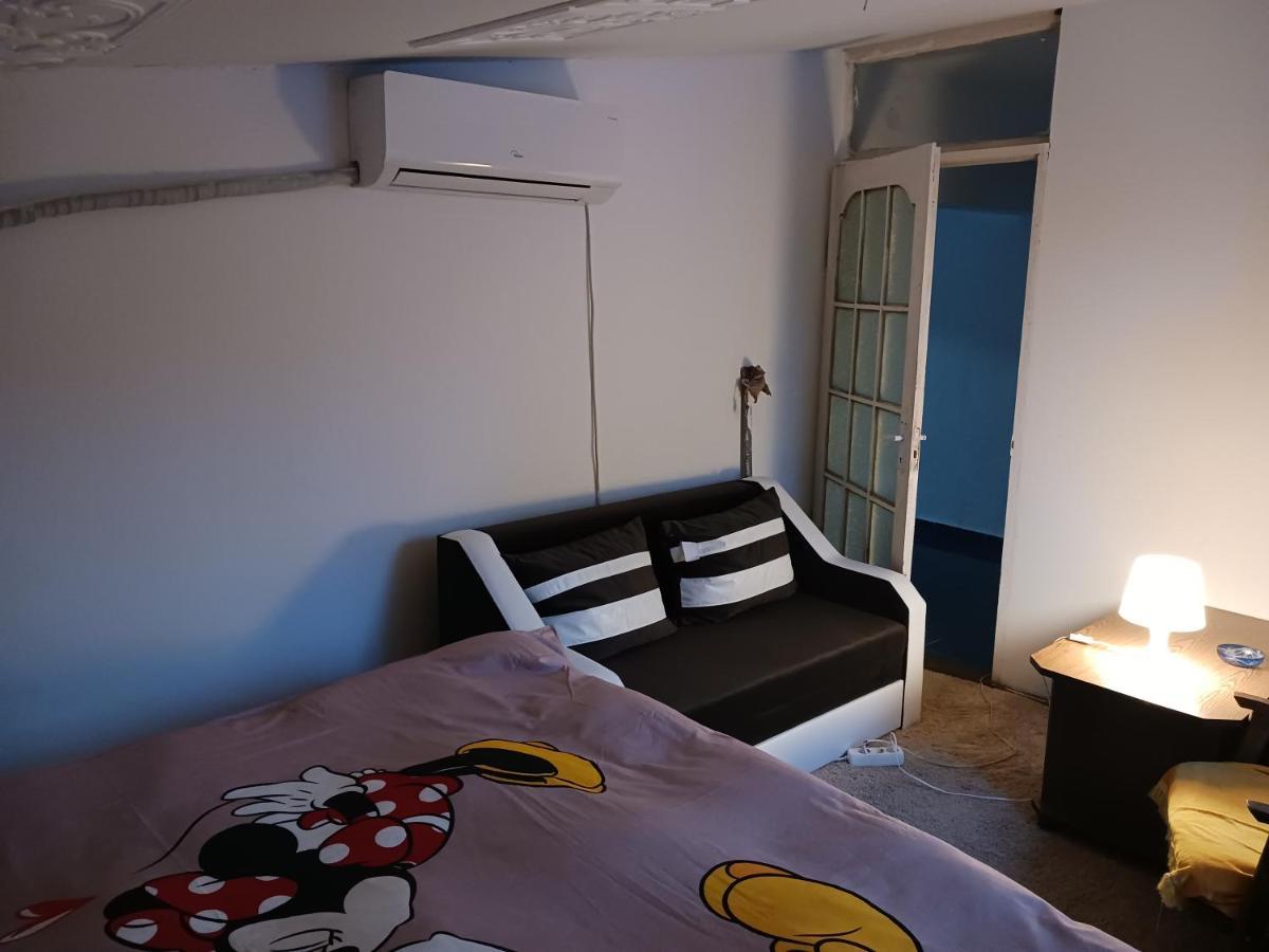 Sara 3 Dormitoare Nu Primesc Santieristi Si Petrecareti Villa Букурещ Екстериор снимка