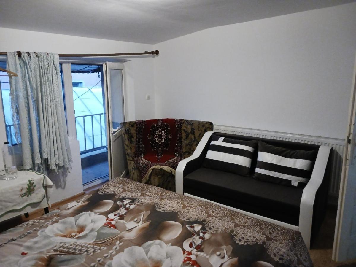 Sara 3 Dormitoare Nu Primesc Santieristi Si Petrecareti Villa Букурещ Екстериор снимка